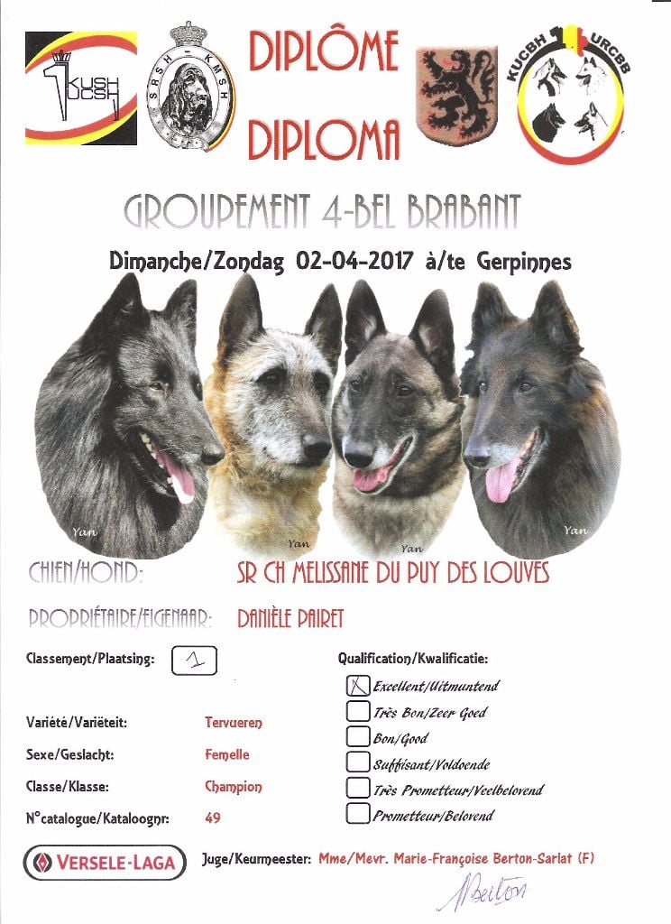 CH. Melissane Du Puy Des Louves - 1ère Excellente - Classe Champion