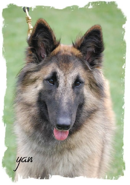 CH. Melissane Du Puy Des Louves - 3e Excellente - classe Intermédiaire