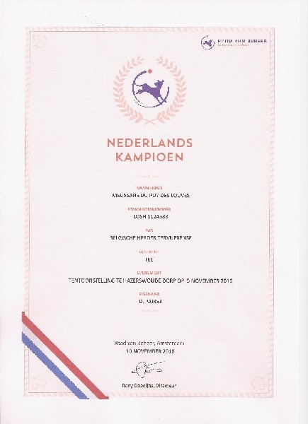 CH. Melissane Du Puy Des Louves - Championne des Pays-Bas - Nederlands Kampioen