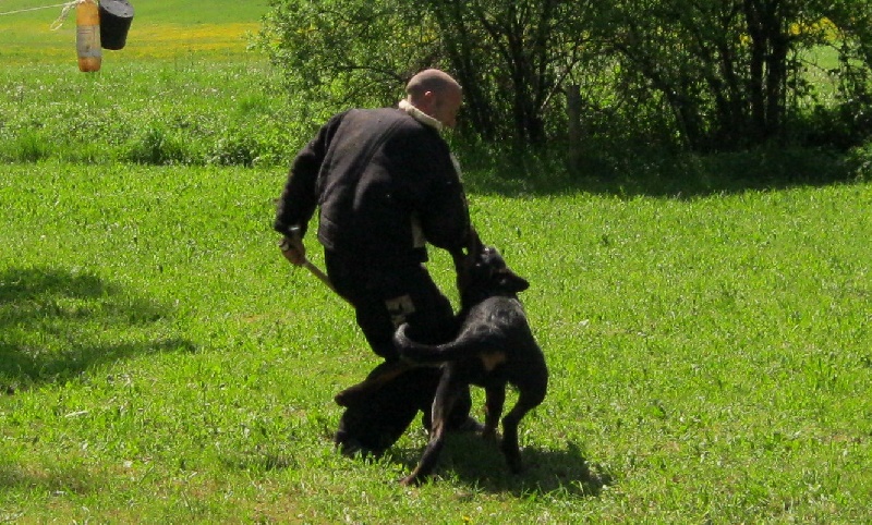 Publication : des Chasseurs D'Ombre