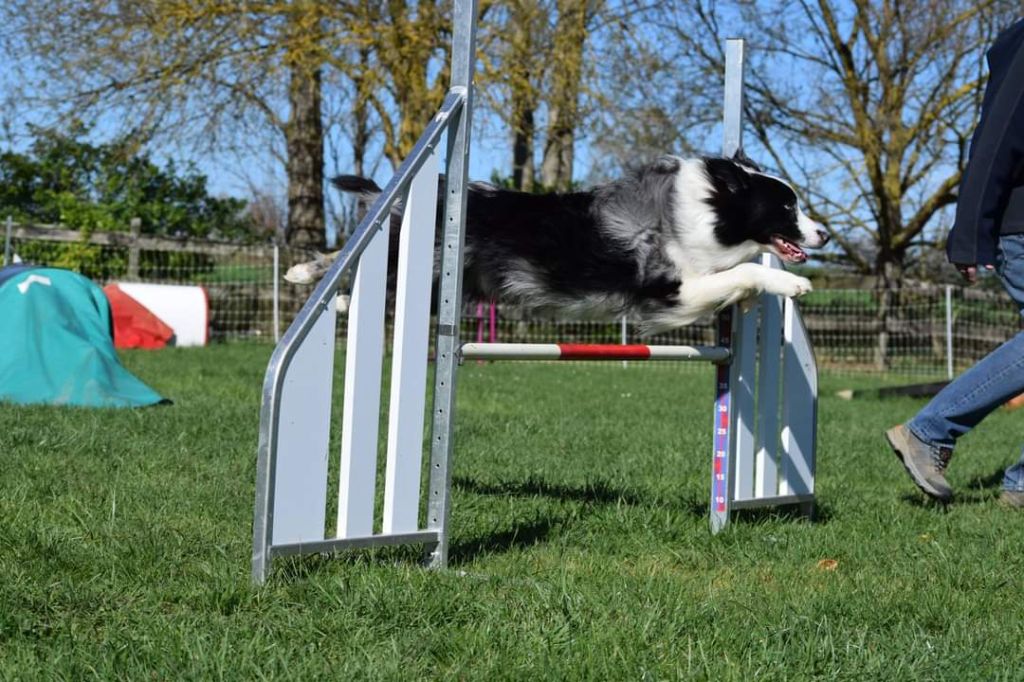 Publication : of the marjohrita