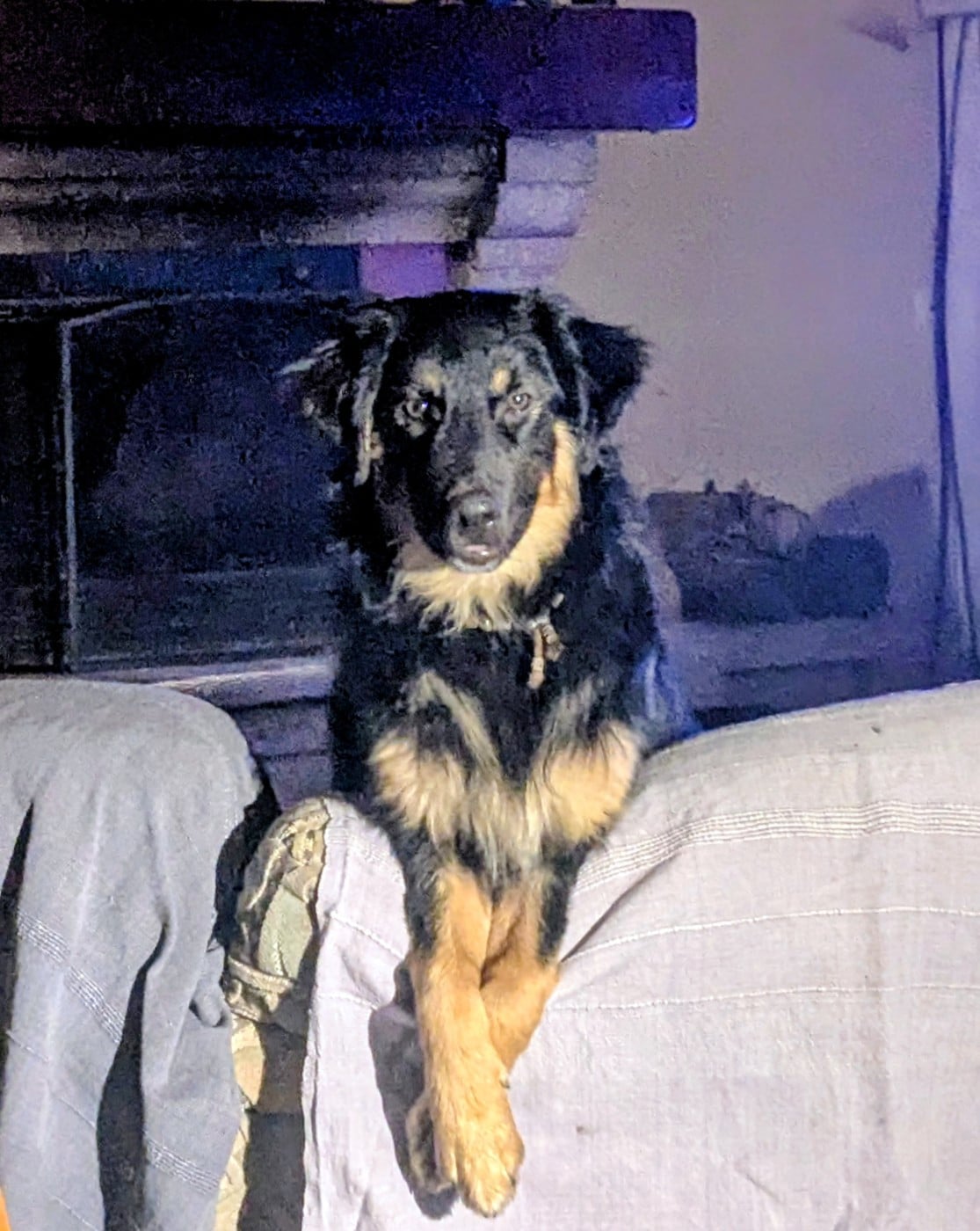 Alnair of the marjohrita