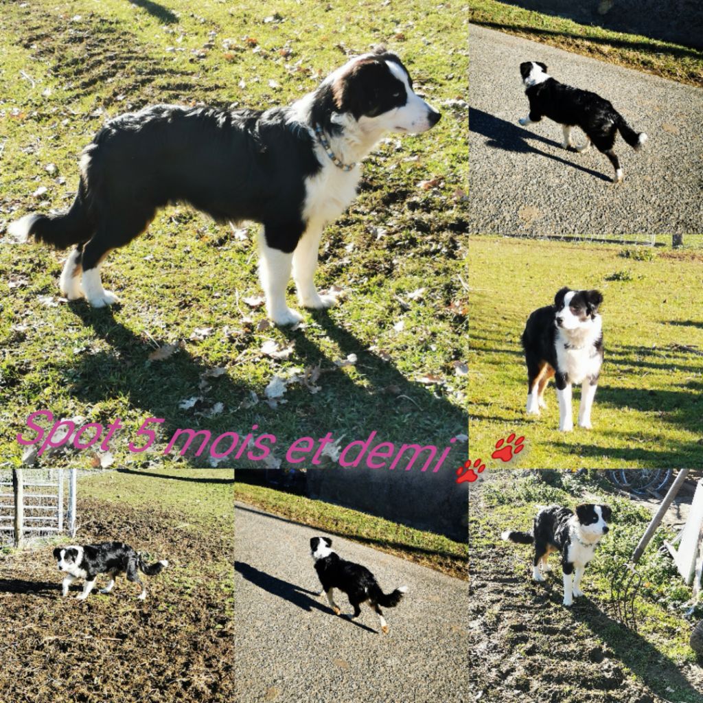 Publication : of the marjohrita