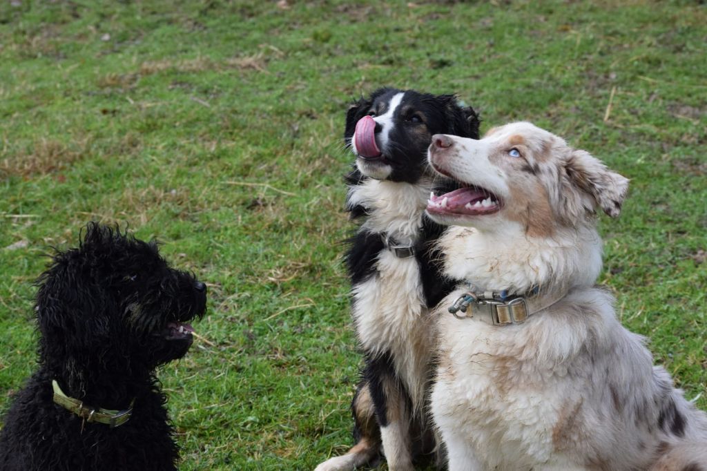 Nari need for love of the marjohrita