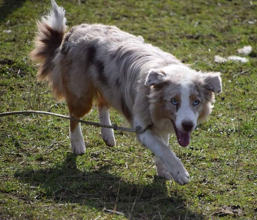 Nari need for love of the marjohrita