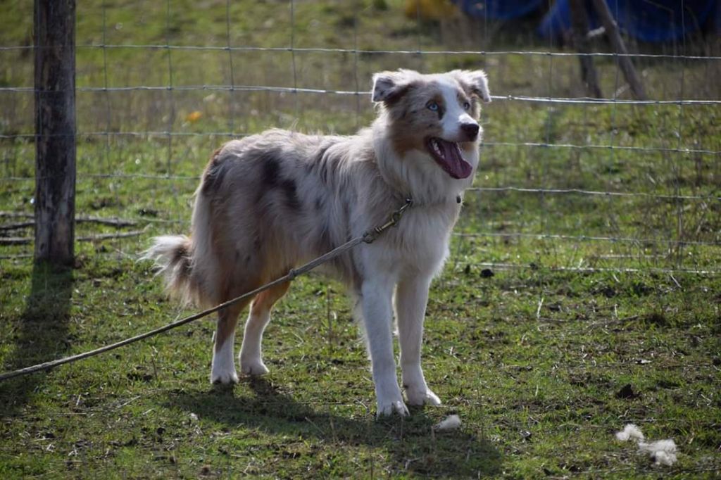 Nari need for love of the marjohrita