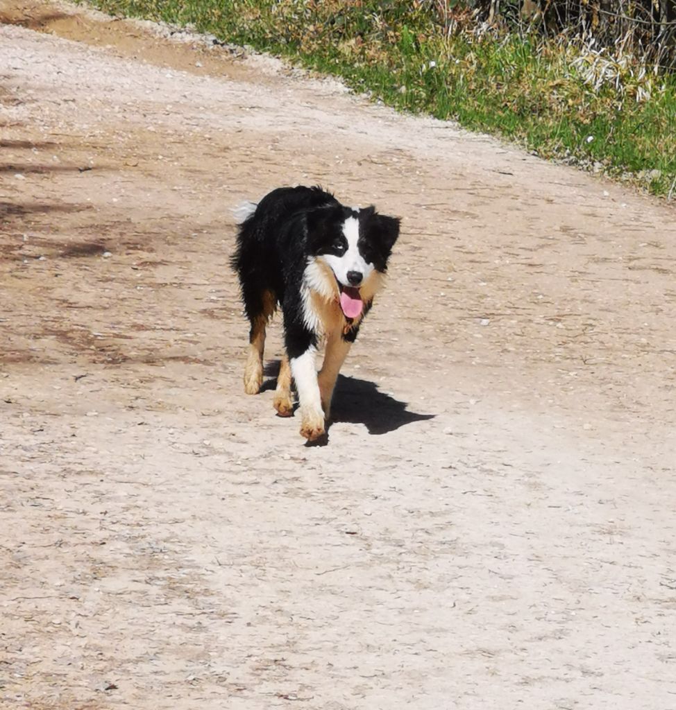 Publication : of the marjohrita