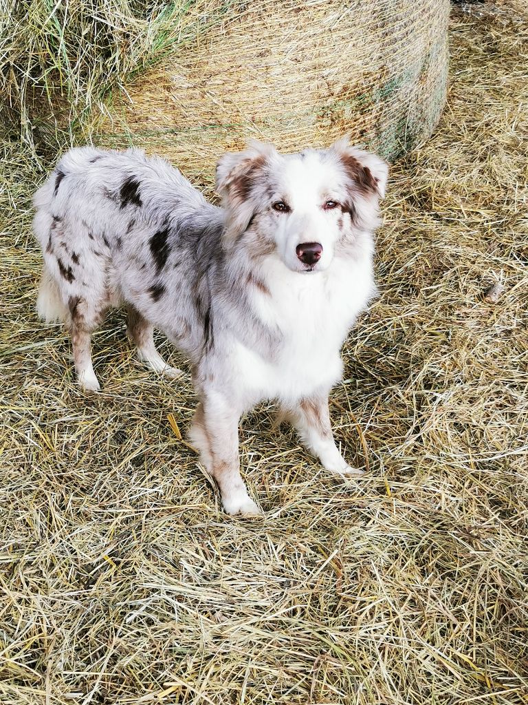 Me for u of the marjohrita