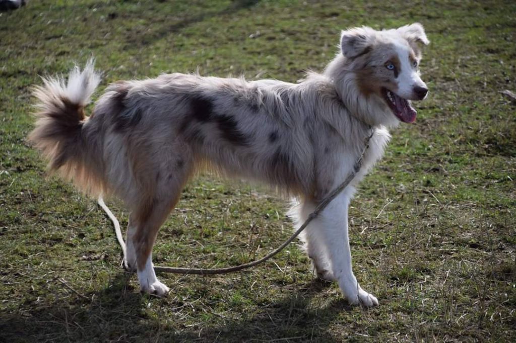 Nari need for love of the marjohrita