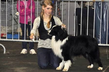 Stds g'homer (alias mer) of the marjohrita - 1e exc CAC Meilleure de race