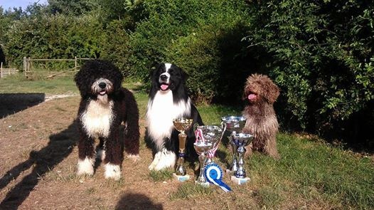 Stds g'homer (alias mer) of the marjohrita - Exc 2e/16