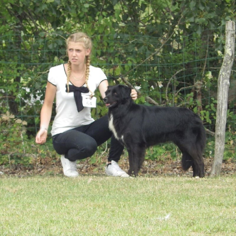 TR. Jia-li of the marjohrita - EXC