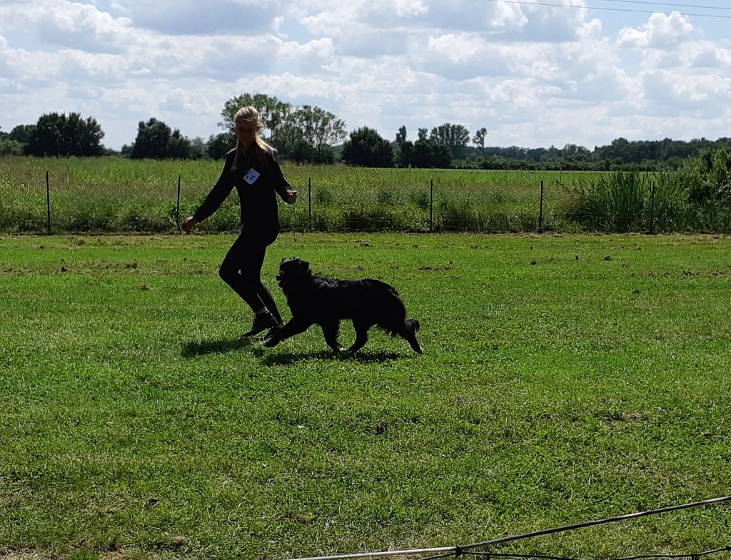 TR. Jia-li of the marjohrita - Excellent open femelle