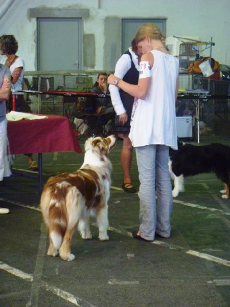 Florida knight key (freya) de Solemel - EXC