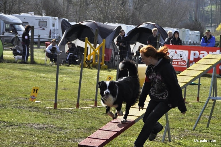 Stds g'homer (alias mer) of the marjohrita - 1e parti de brevet