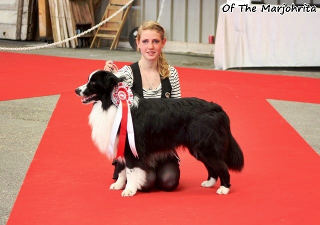 Stds g'homer (alias mer) of the marjohrita - 5e Exc(89) ouverte malle