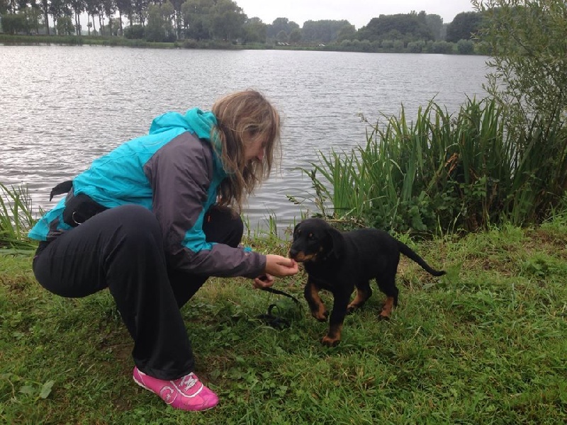 Publication : L'ami De La Campagne Auteur : l'Ami de la Campagne