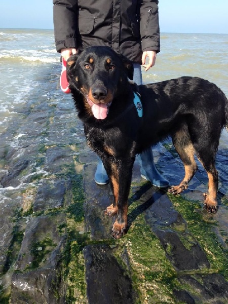 Publication : L'ami De La Campagne Auteur : l'Ami de la Campagne