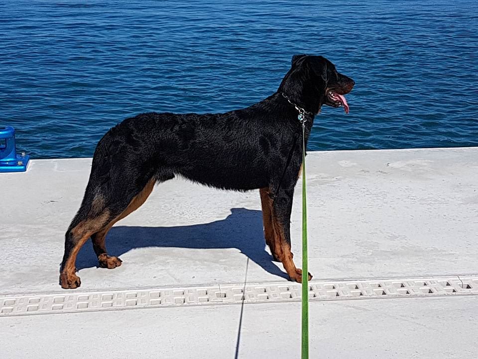 Publication : L'ami De La Campagne Auteur : ami de la campagne