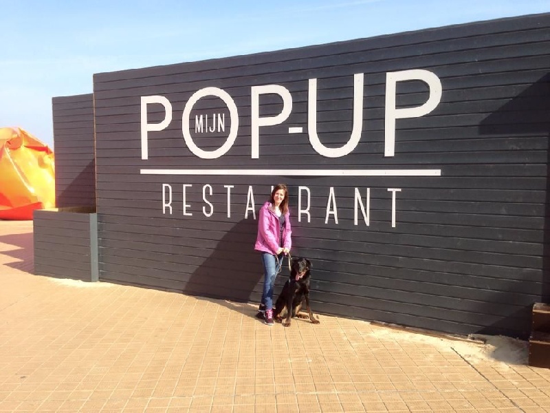 Publication : L'ami De La Campagne Auteur : l'Ami de la Campagne