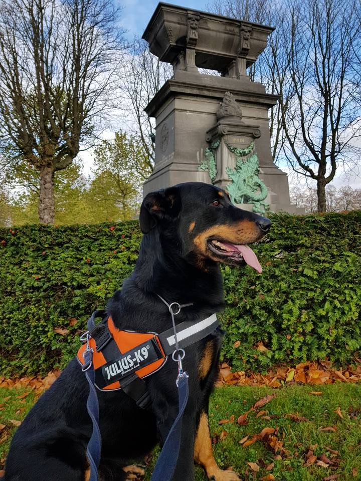 Publication : L'ami De La Campagne Auteur : l'Ami de la Campagne