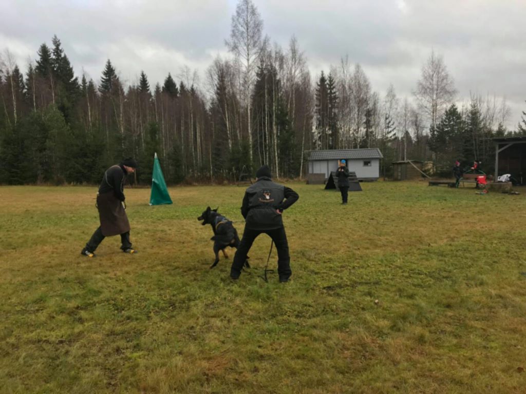 Publication : L'ami De La Campagne Auteur : ami de la campagne