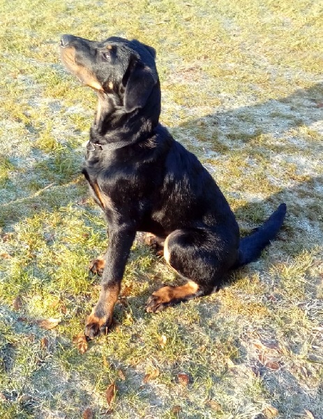 Publication : L'ami De La Campagne Auteur : 11 mois