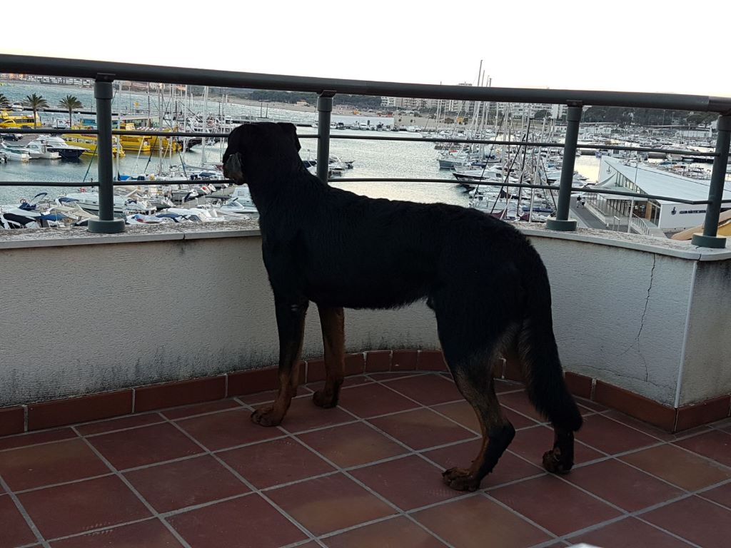 Publication : L'ami De La Campagne Auteur : ami de la campagne