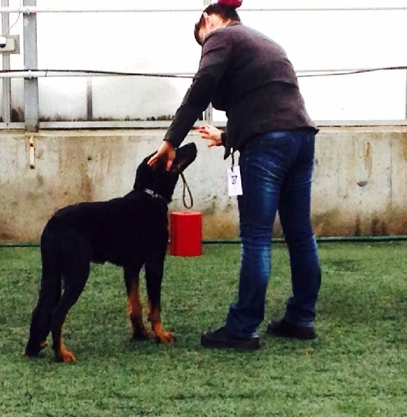 Publication : L'ami De La Campagne Auteur : ami de la campagne