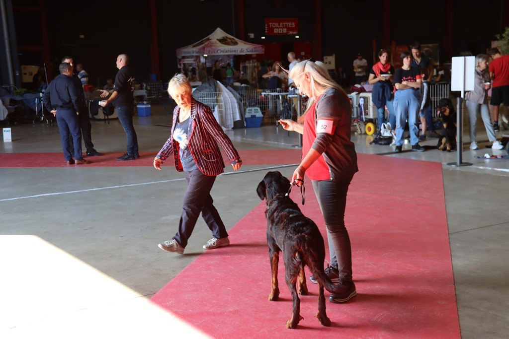 Publication : L'ami De La Campagne