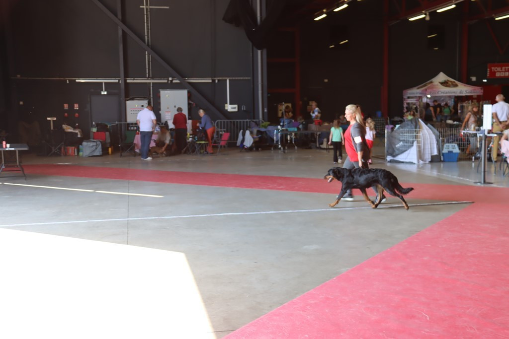 Publication : L'ami De La Campagne