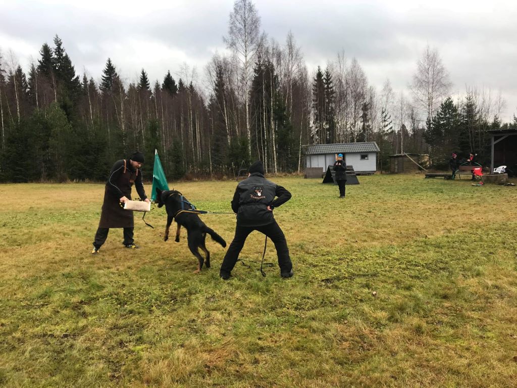 Publication : L'ami De La Campagne Auteur : ami de la campagne