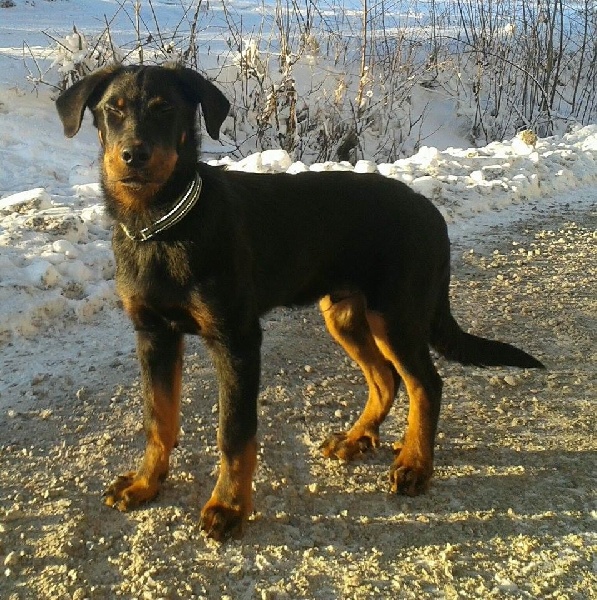 Publication : L'ami De La Campagne Auteur : ami de la campagne