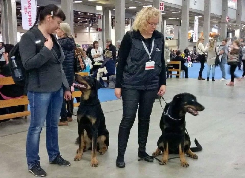 Publication : L'ami De La Campagne Auteur : ami de la campagne