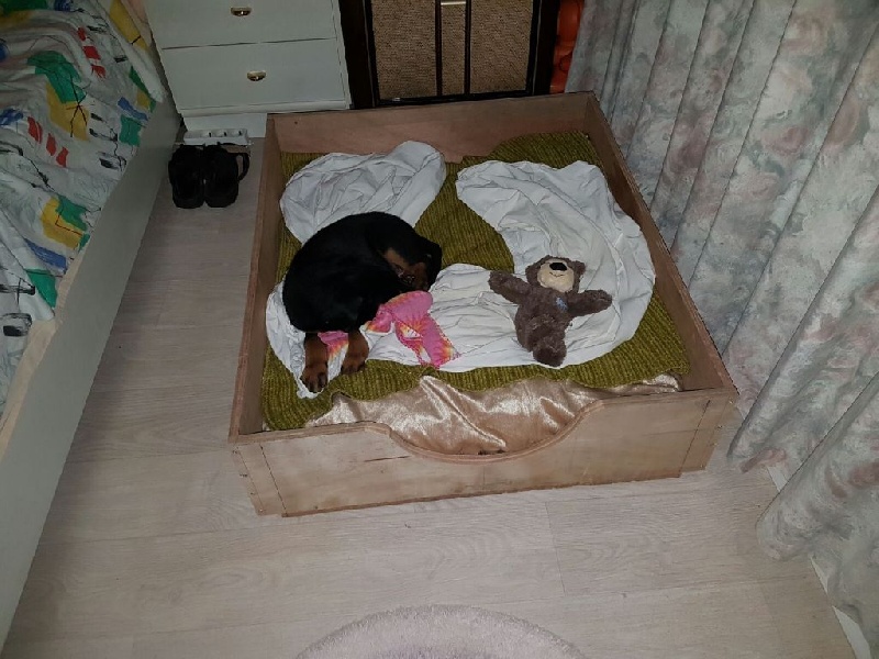 Publication : L'ami De La Campagne Auteur : ami de la campagne