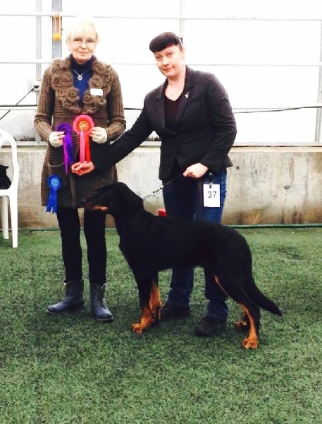 Publication : L'ami De La Campagne Auteur : ami de la campagne