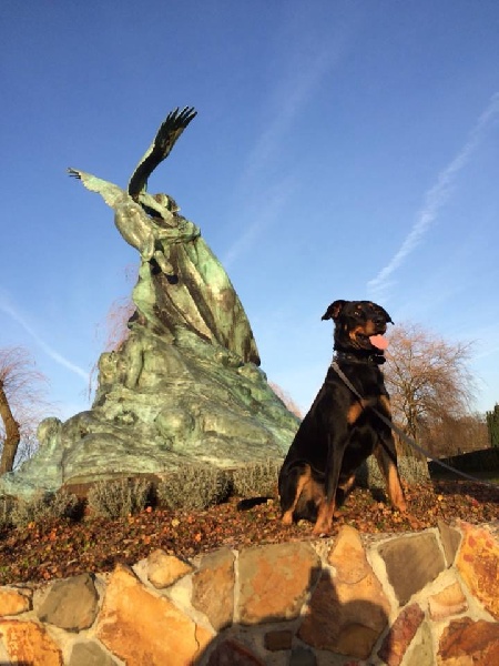 Publication : L'ami De La Campagne Auteur : l'Ami de la Campagne