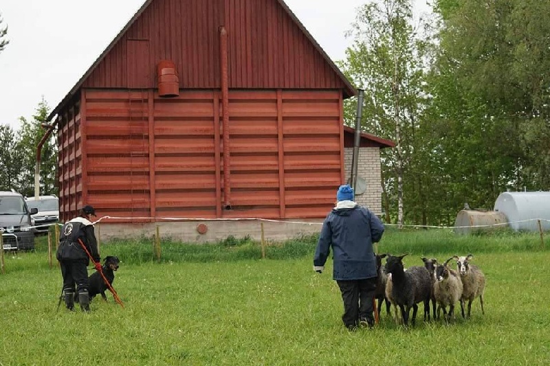Publication : L'ami De La Campagne Auteur : ami de la campagne