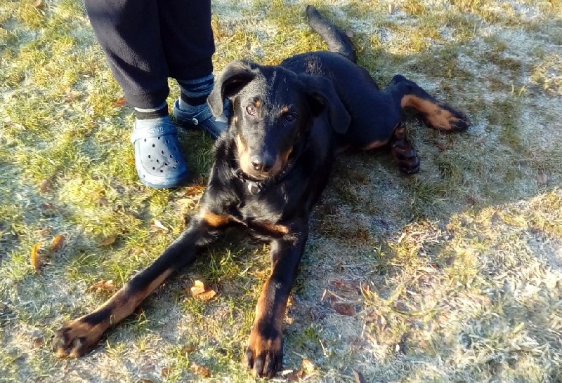 Publication : L'ami De La Campagne Auteur : 11 mois