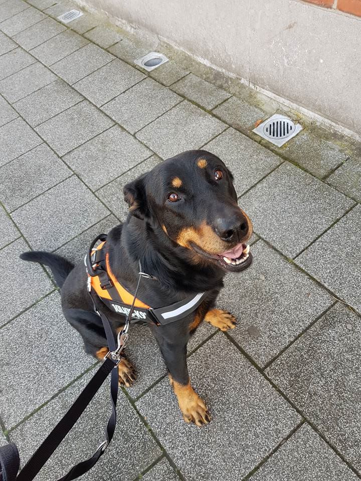 Publication : L'ami De La Campagne Auteur : l'Ami de la Campagne