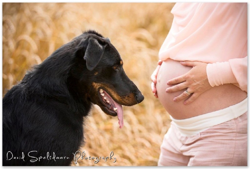 Publication : L'ami De La Campagne Auteur : l'Ami de la Campagne