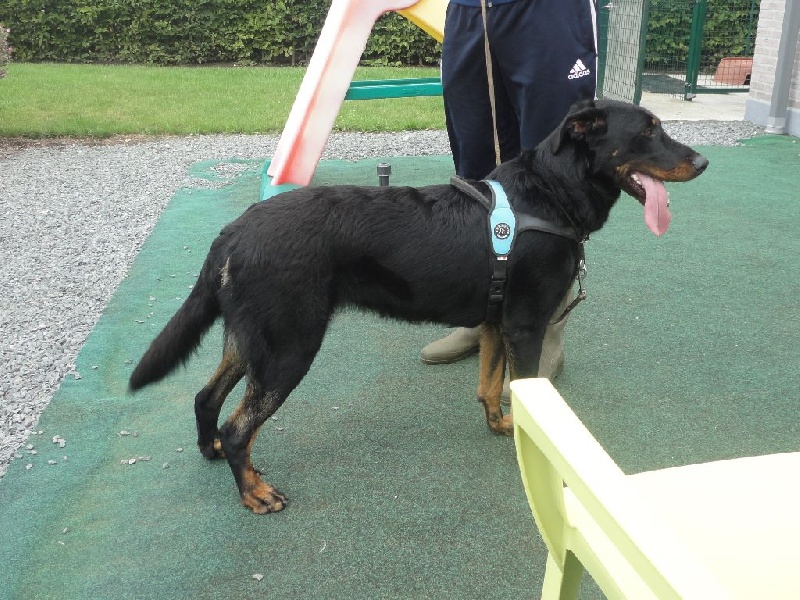 Publication : L'ami De La Campagne Auteur : l'Ami de la Campagne