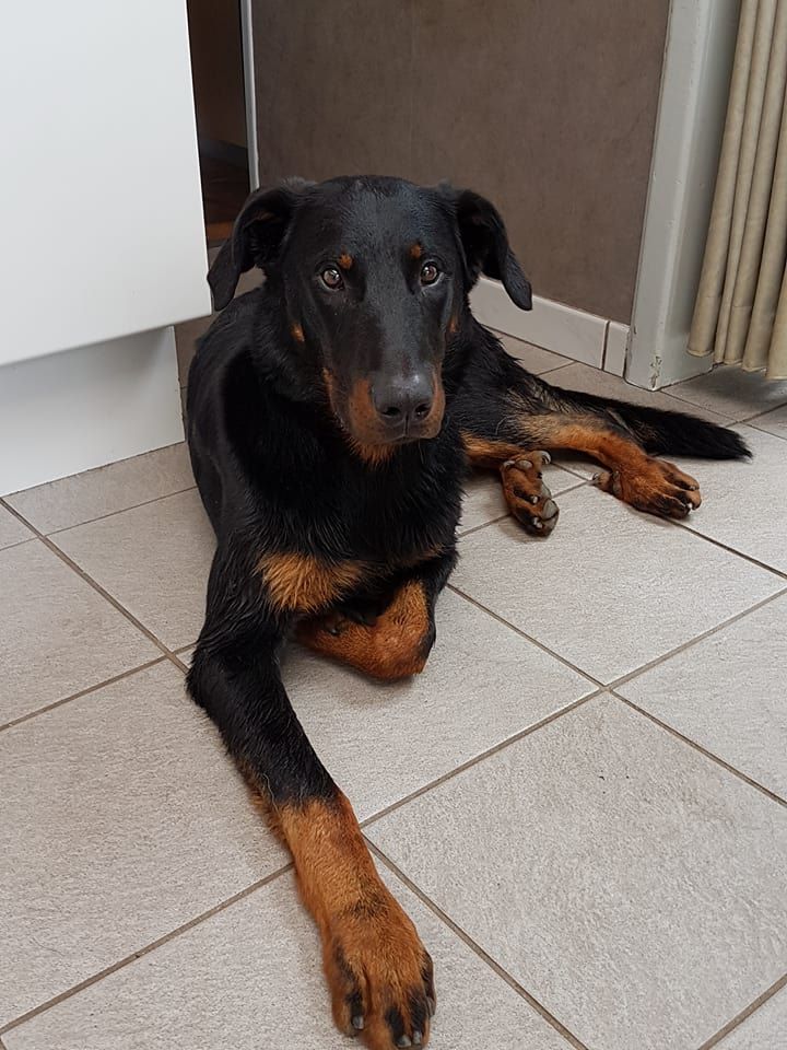 Publication : L'ami De La Campagne Auteur : ami de la campagne