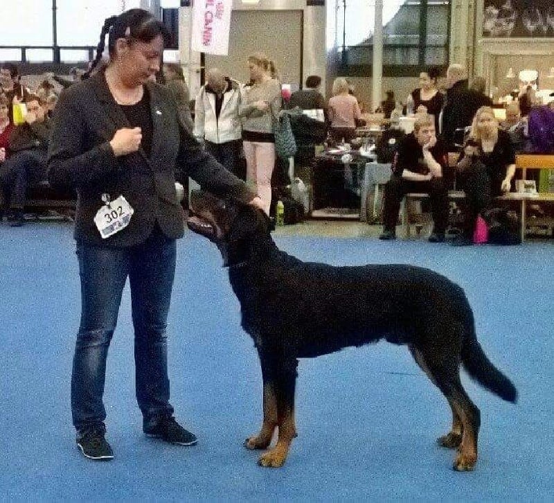 Publication : L'ami De La Campagne Auteur : ami de la campagne