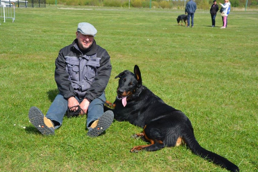 Publication : L'ami De La Campagne Auteur : ami de la campagne