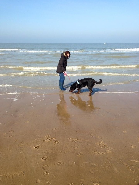 Publication : L'ami De La Campagne Auteur : l'Ami de la Campagne