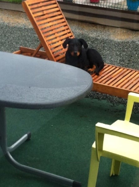 Publication : L'ami De La Campagne Auteur : l'Ami de la Campagne