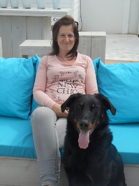 Publication : L'ami De La Campagne Auteur : l'Ami de la Campagne