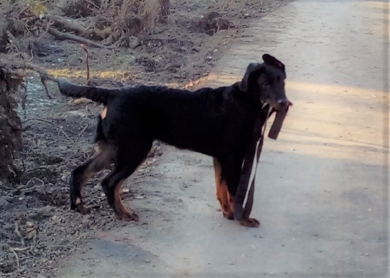 Publication : L'ami De La Campagne Auteur : ami de la campagne