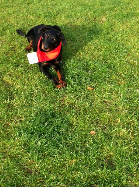 Publication : L'ami De La Campagne Auteur : l'Ami de la Campagne